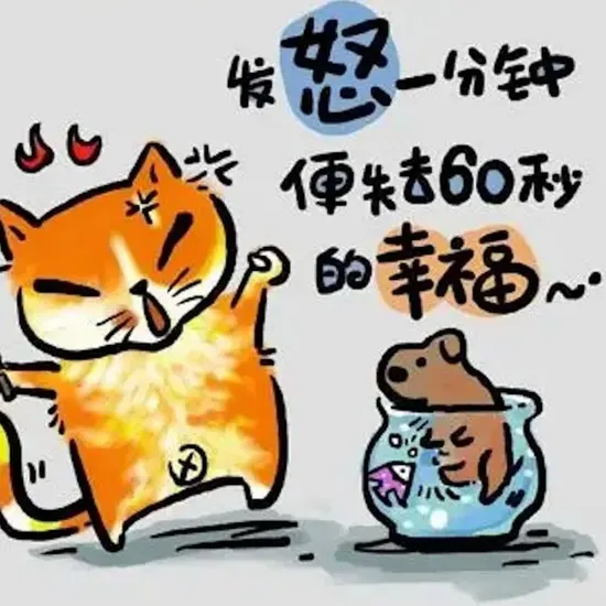 昆明网站推广